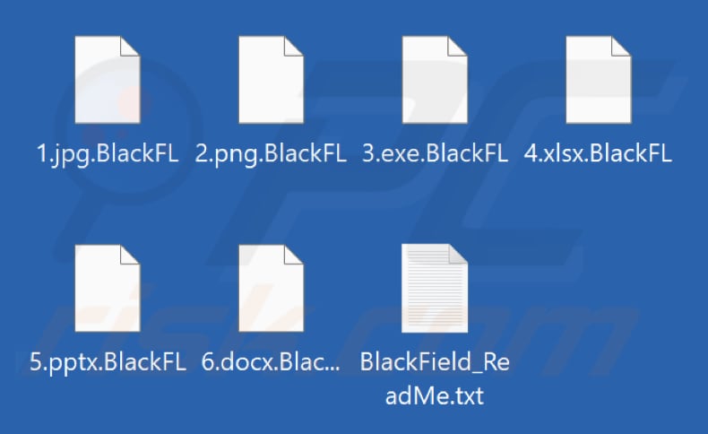 Fichiers chiffrés par le ransomware BlackFL (extension .BlackFL)