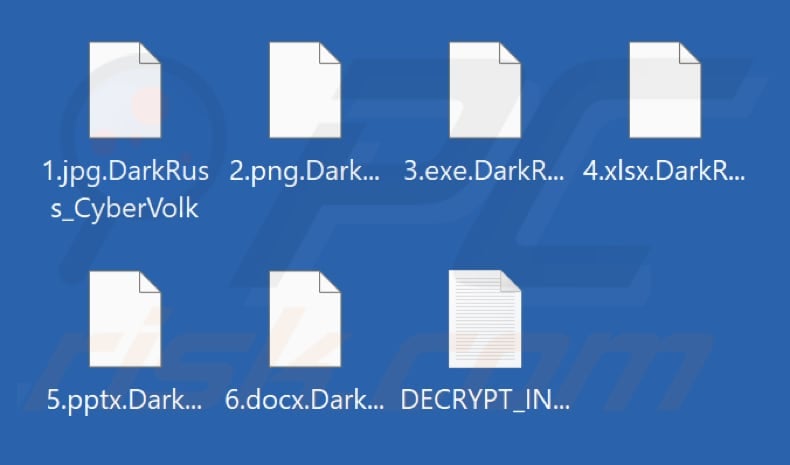 Fichiers cryptés par le ransomware DarkNetRuss (extension .DarkRuss_CyberVolk)