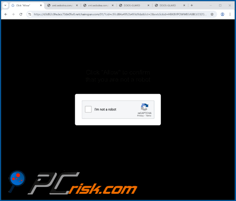 apparence du site web netchainspan[.]com (GIF)