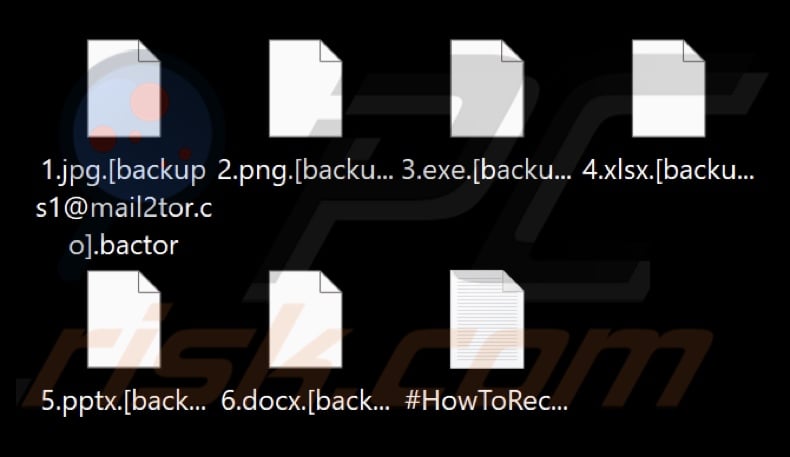 Fichiers cryptés par le ransomware Bactor (extension .bactor)