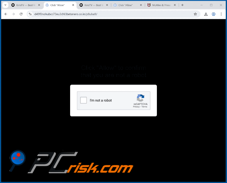 betanero.co[.]in website apparence (GIF)