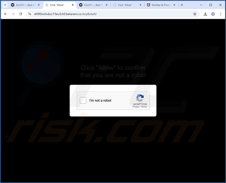 betanero.co[.]in annonces