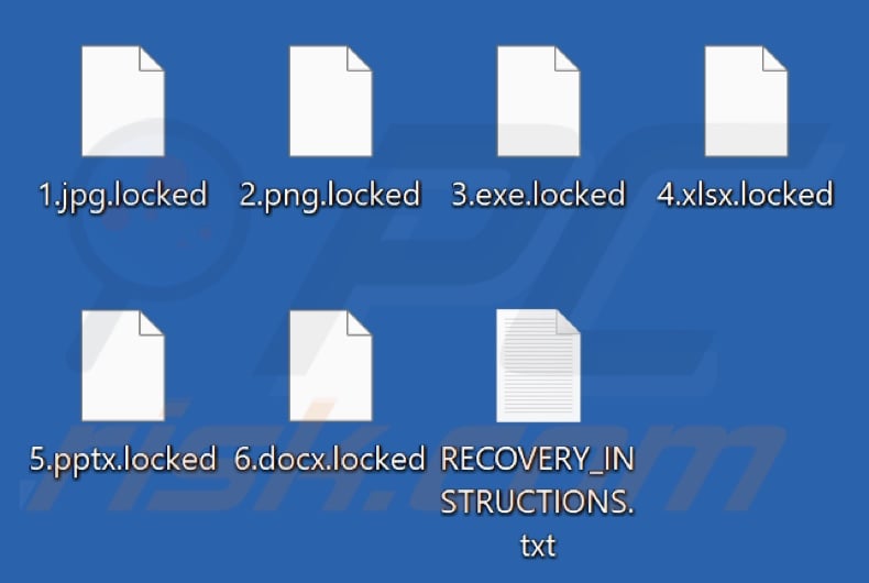 Fichiers cryptés par le ransomware ChickenKiller (extension .locked)