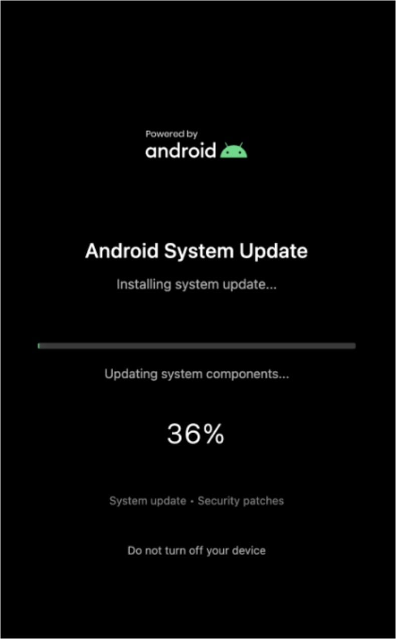 Sturnus écran masquant le cheval de Troie bancaire en arrière-plan (source threatfabric.com)