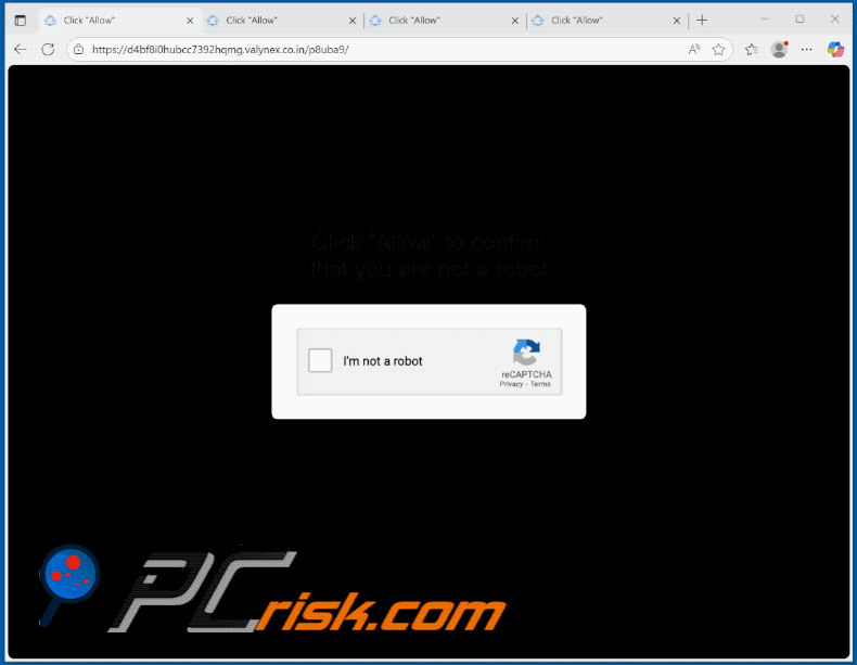 valynex.co[.]in website apparence (GIF)