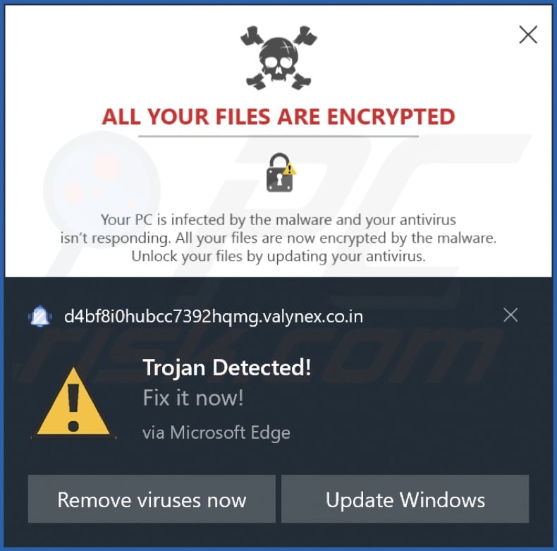 Annonce diffusée par la page Web valynex.co[.]in