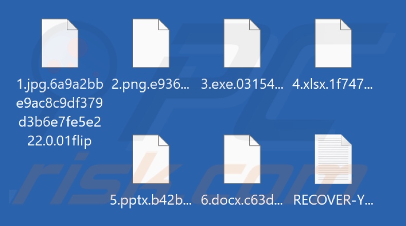 Fichiers chiffrés par le ransomware 01Flip (extension .01flip)