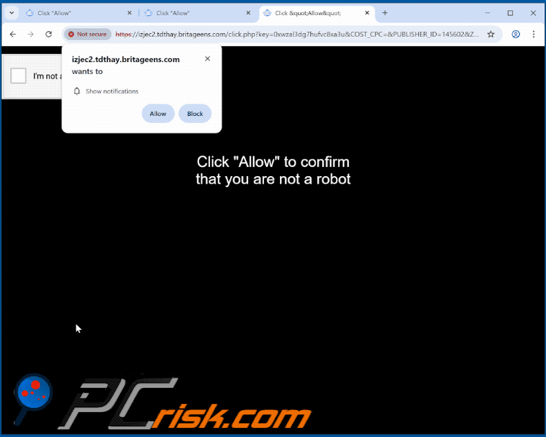 britageens[.]com website apparence (GIF)