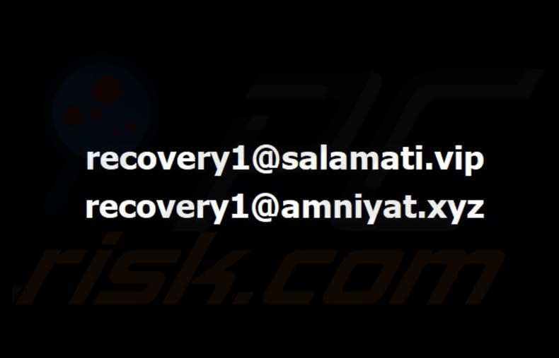 Bear ransomware papier peint