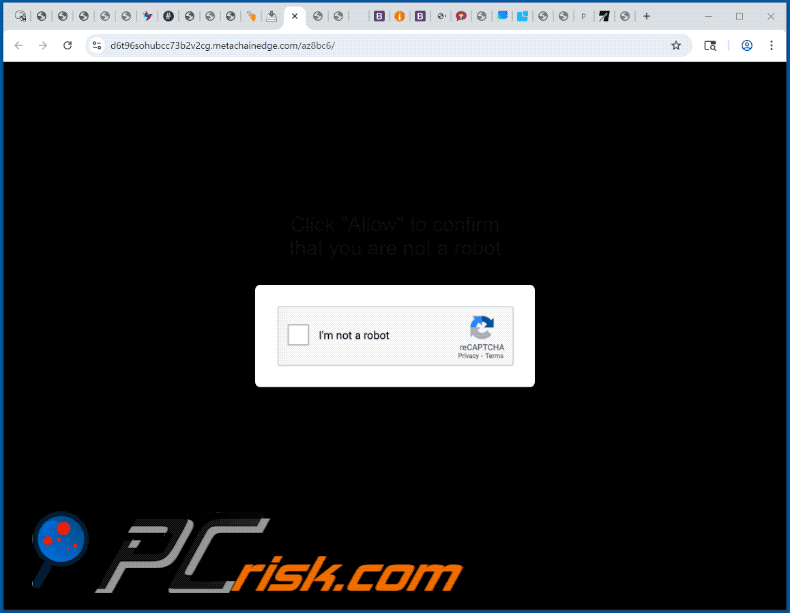 metachainedge[.]com présentation du site web (GIF)