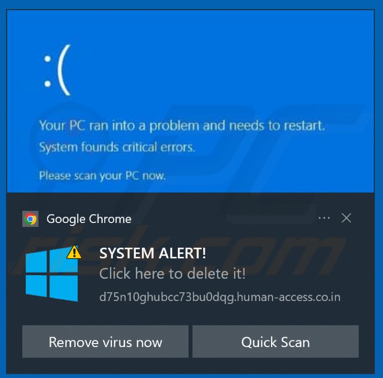 notification de human-access.co[.]in