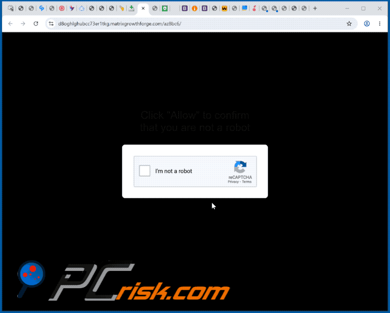 apparence du site web matrixgrowthforge[.]com (GIF)