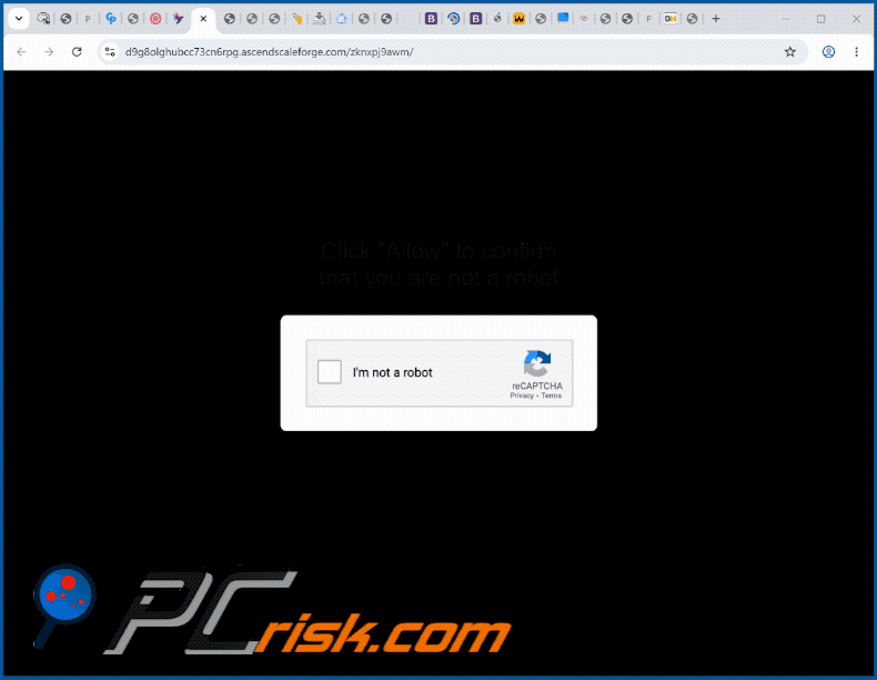 apparence du site Web ascendscaleforge[.]com (GIF)