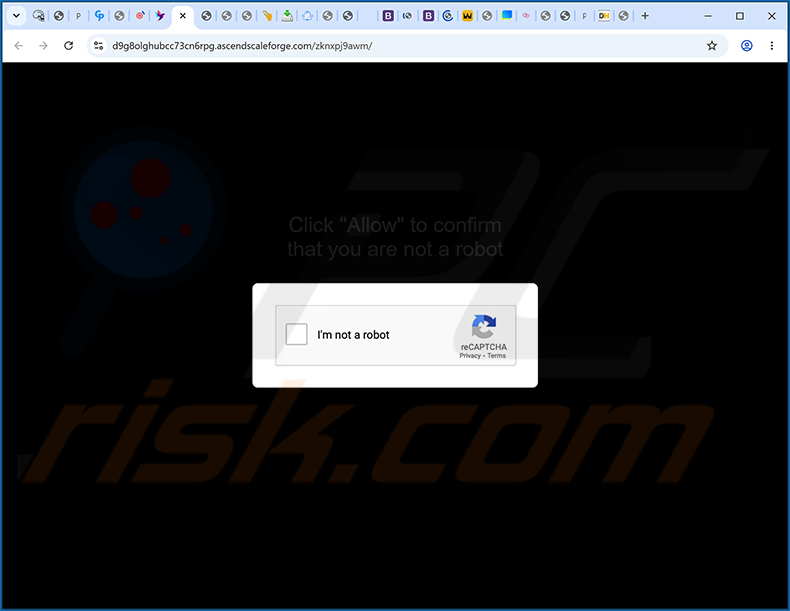 publicités ascendscaleforge[.]com