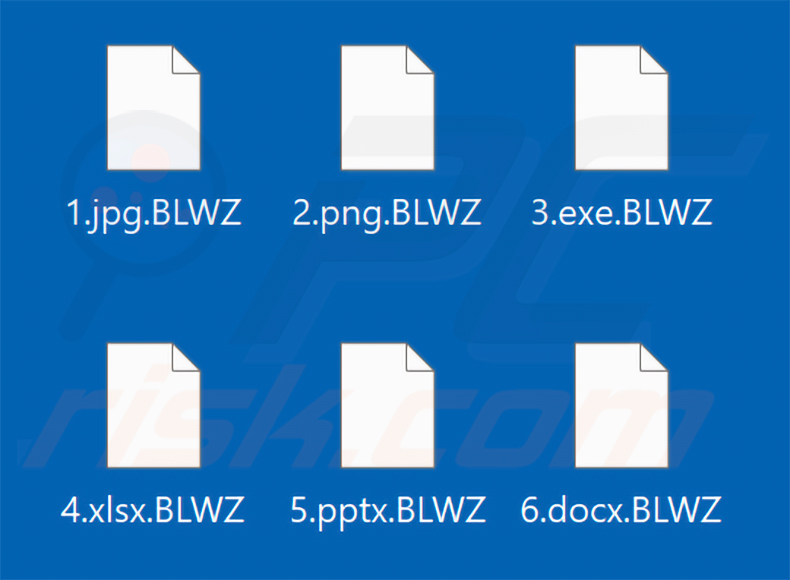 Fichiers chiffrés par le ransomware BlackWizard (extension .BLWZ)
