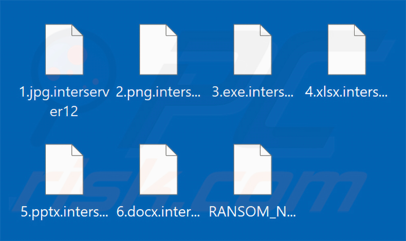 Fichiers chiffrés par le ransomware InterServer (extension .interserver12)