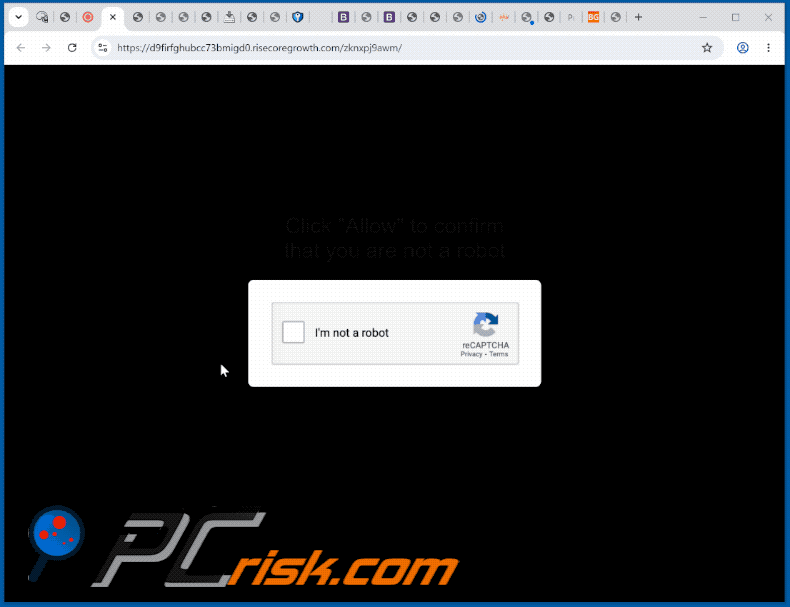 apparence du site Web risecoregrowth[.]com (GIF)