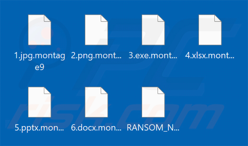 Fichiers chiffrés par le ransomware Montage (extension .montage9)