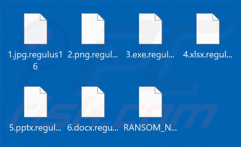 Fichiers chiffrés par le ransomware Regulus (extension .regulus16)