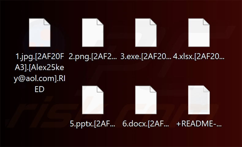 Fichiers chiffrés par le ransomware RIED (extension [ID_de_la_victime].[e-mail_du_développeur].RIED)