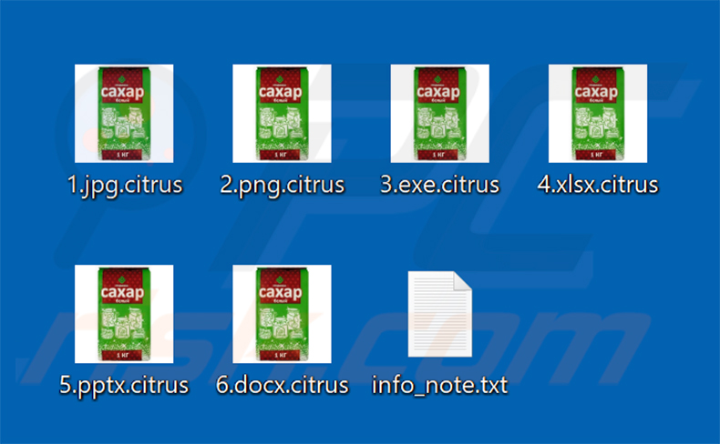 Fichiers chiffrés par le ransomware Citrus (extension .citrus)
