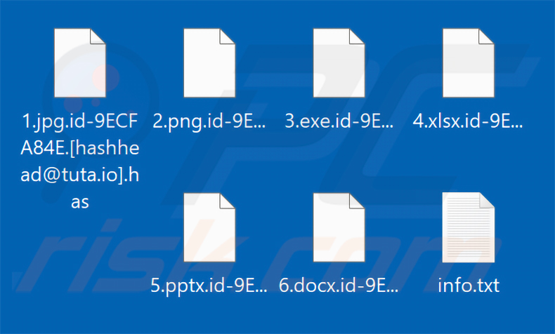 Fichiers chiffrés par le ransomware Has (extension .has)