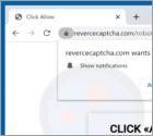 Publicités Revercecaptcha.com