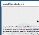 Rançongiciel Xcss