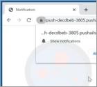 Publicités Pushails.com