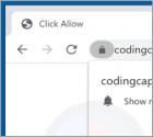 Publicités Codingcaptcha.com