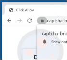 Publicités Captcha-bros.com