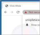 Publicités Uniqdatacaptcha.top