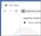 Publicités Captcha-smart.top