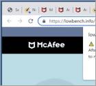 POP-UP Arnaque McAfee Total Protection Has Expired