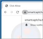 Publicités Smartcaptcha.top