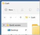 Publiciel Cash