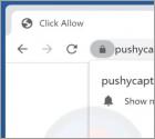 Publicités Pushycaptcha.live
