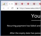 POP-UP Arnaque McAfee - Your Card Payment Has Failed!