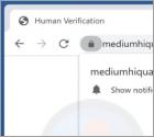 Publicités Mediumhiquality.com