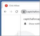 Publicités Captchaforcaptcha.top