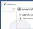 Publicités Nowcaptchahere.top