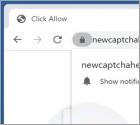Publicités Newcaptchahere.top