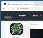 Voleur d'informations Meduza