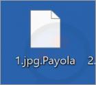 Rançongiciel Payola