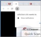 POP-UP Arnaque CCleaner Total Protection