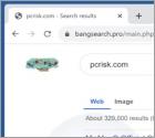 Redirection Bangsearch.pro
