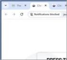 Publicités Cavernexplorer.com