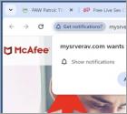 Publicités Mysrverav.com