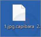 Rançongiciel Capibara