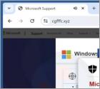 POP-UP Arnaque Microsoft Detected A Unusual Application In Your System
